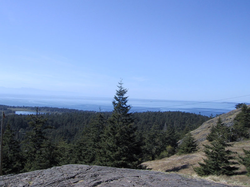 37-theView