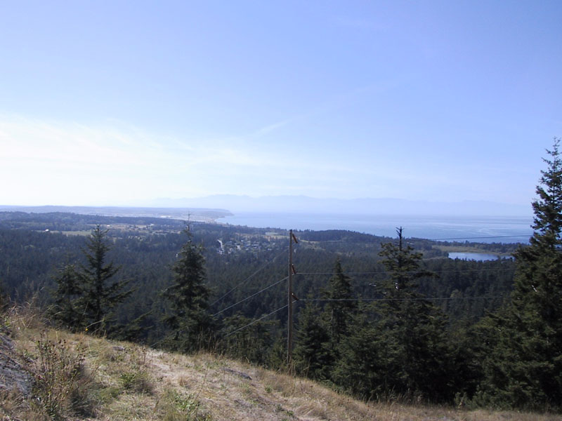 38-theView