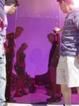 DSC00630