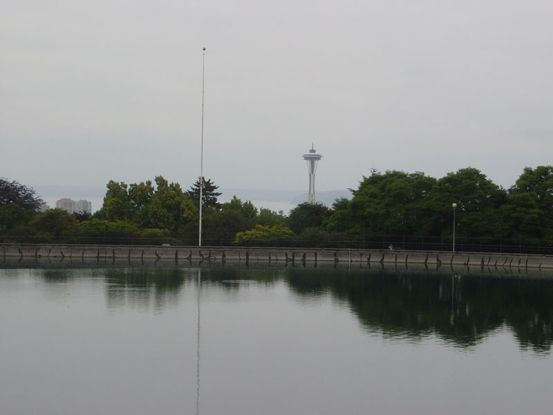 DSC00655