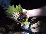 IMG_8188_6777