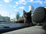 IMG_8421