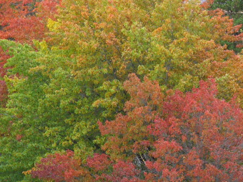 IMG_9360