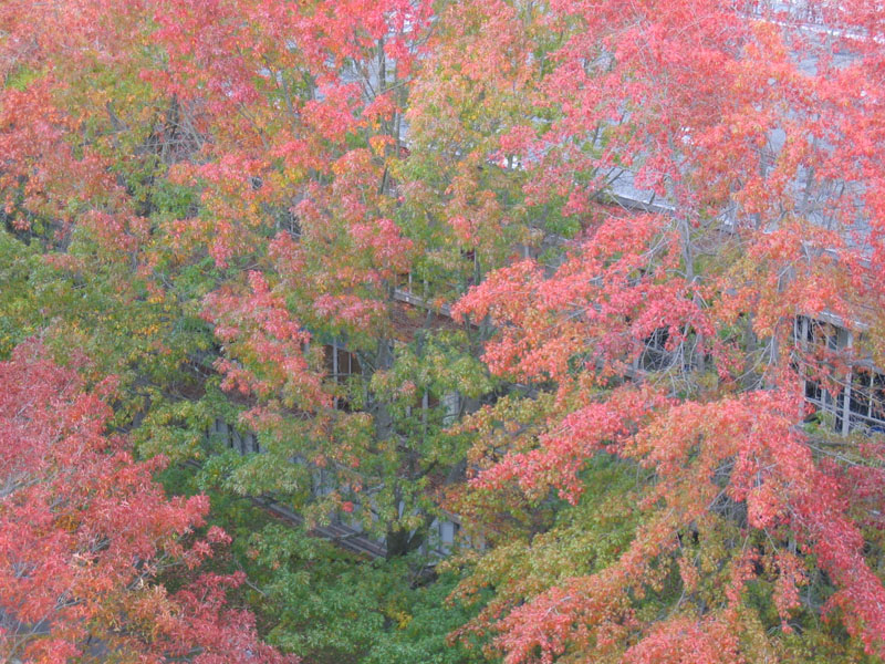 IMG_9362