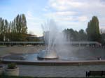 IMG_4491