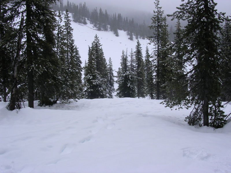 DSCN0645