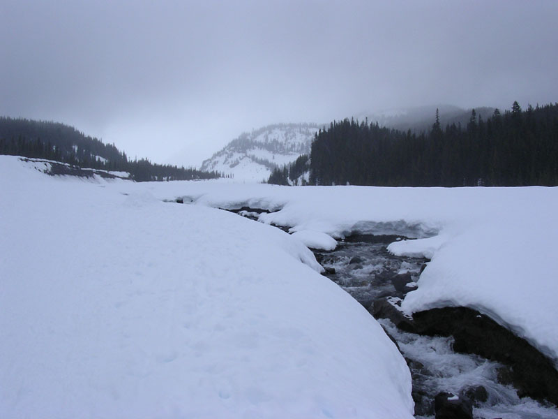 DSCN0662