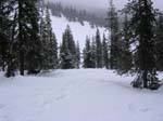 DSCN0645