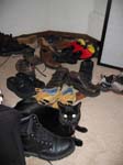 IMG_5819