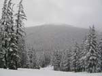 46-IMG_3954