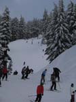 77-IMG_4027
