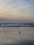 IMG_4411