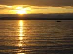 IMG_4568