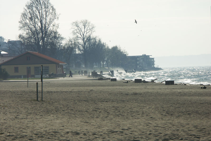 PICT0959