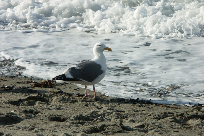 PICT0966
