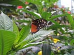 IMG_4916