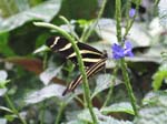 IMG_4959