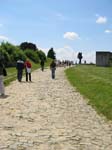 IMG_7382-2195