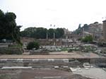 003-IMG_2489