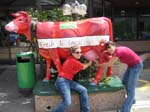 012-IMG_8739