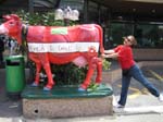 013-IMG_8741