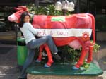 016-IMG_8747