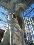 IMG_1451