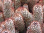 09-IMG_8797