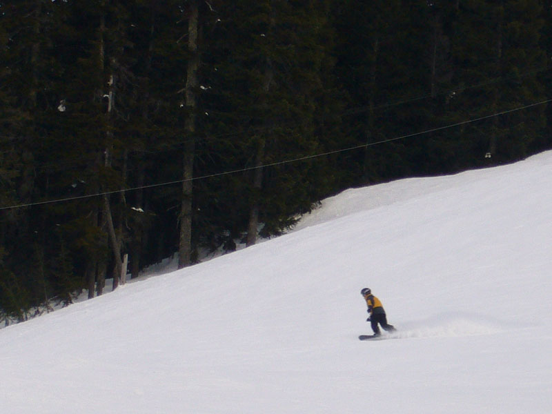 P1000646-1
