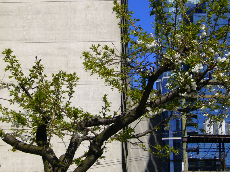Day_trip_to_Vancouver_B.C.-fd0011