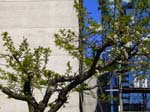 Day_trip_to_Vancouver_B.C.-fd0011