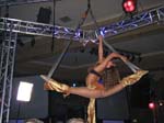 IMG_1581