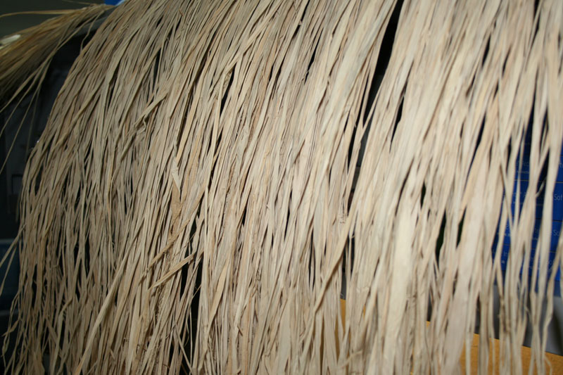 IMG_0485
