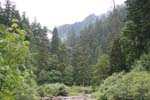 06-IMG_0903