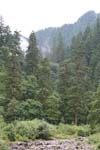 07-IMG_0904