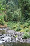 08-IMG_0905