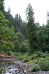 09-IMG_0906