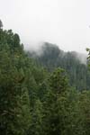 12-IMG_0911