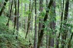 31-IMG_0938