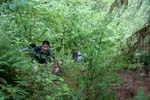 77-IMG_1059
