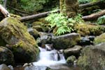 81-IMG_1073
