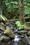 82-IMG_1077