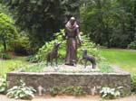 25-IMG_5049
