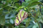 09-IMG_1977