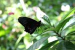 18-IMG_1985