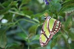 27-IMG_2022
