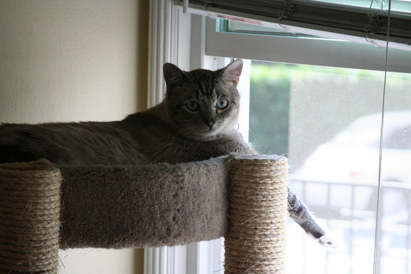 IMG_3909