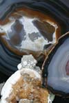 103-IMG_4351