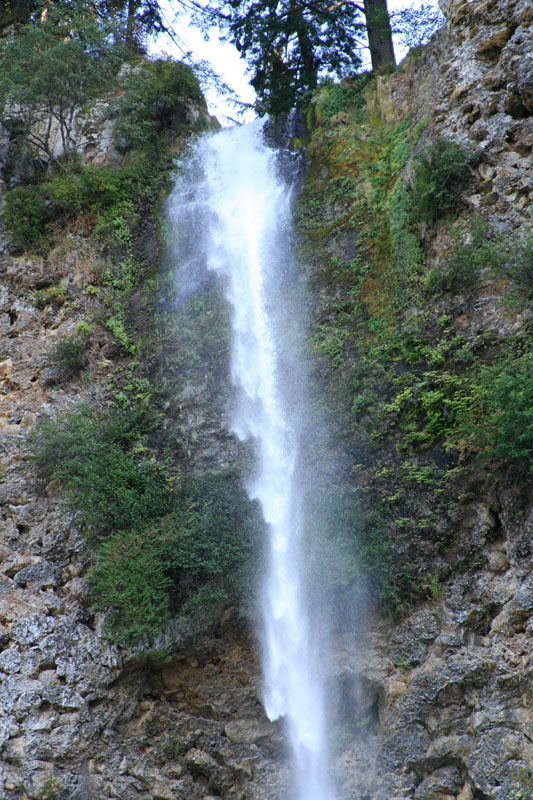 IMG_4455