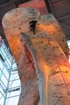 IMG_5703